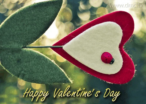 Happy Valentine'S Day Greetings Card Meme