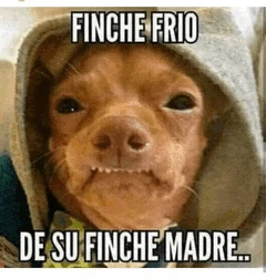 Cold Frio Meme