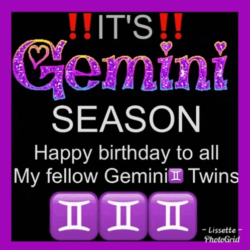 Gemini Meme