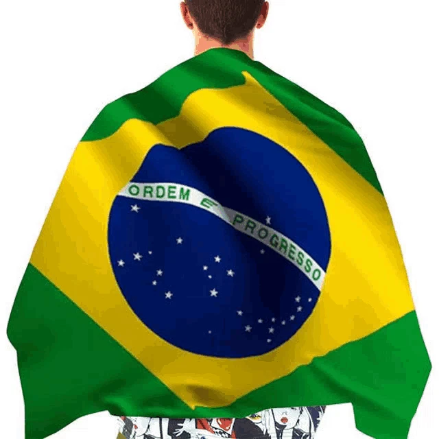 Minha Investidura Meme