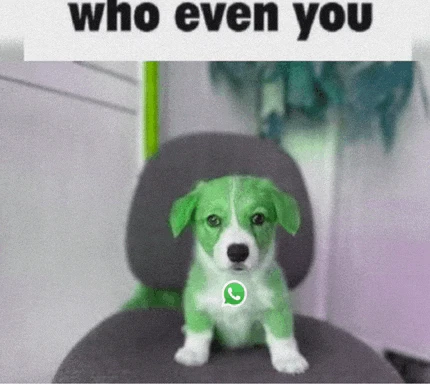 Whatsapp Anais Meme