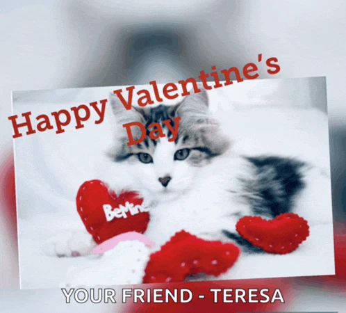 Happy Valentines Day Happy Valentines Day Friend Meme