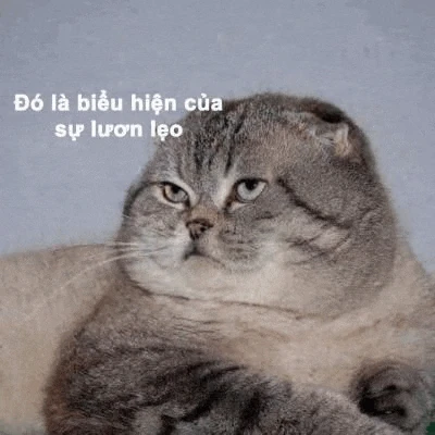 05 Meme