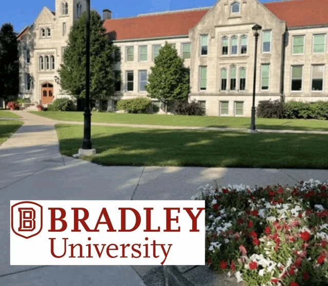 Brad Bradley Meme