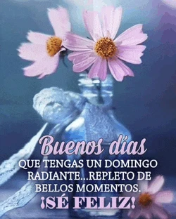 Feliz Domingo Bendiciones Meme