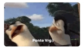 Camara Meme