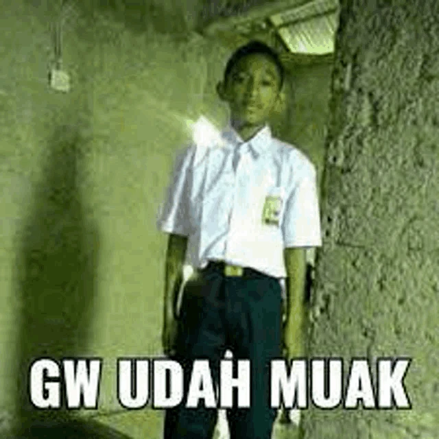 Gw Dah Muak Meme