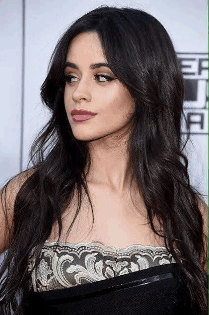 Camila Cabello Pictures Meme