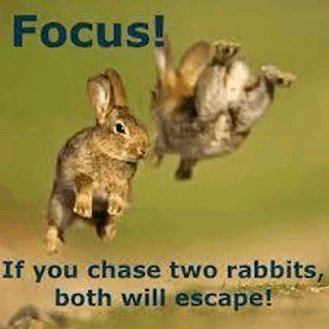 rabbits-chase-meme-meme-share-view-on-klipy