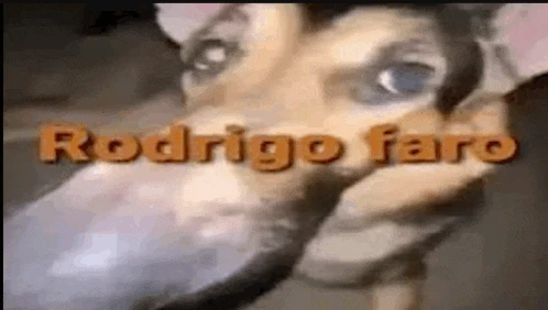 Rodrigo Faro Meme