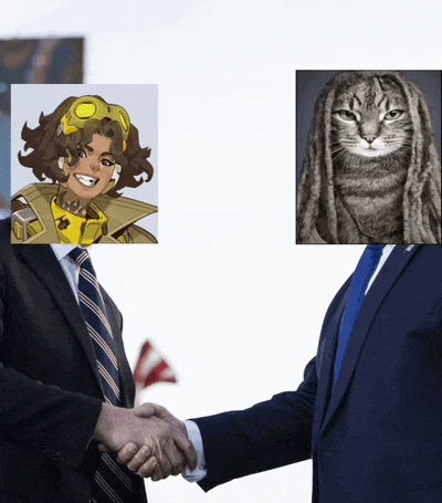 Overwatch Meme
