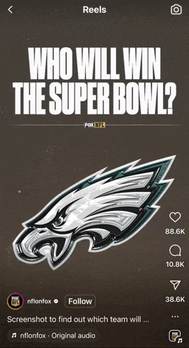 Philadelphia Eagles Super Bowl Meme