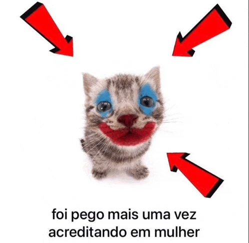 Foi Pego Mais Uma Vez Acreditando Em Mulher Meme
