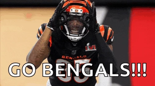 Tee Higgins Meme