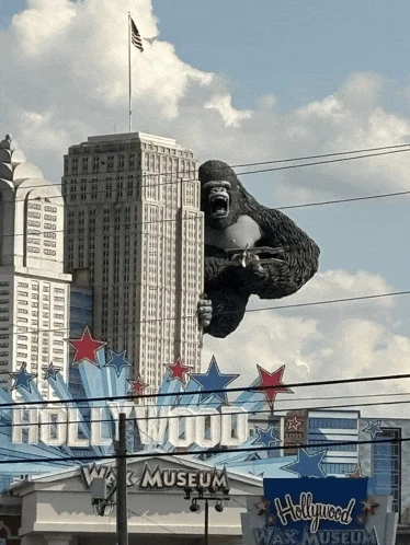 Kong Meme