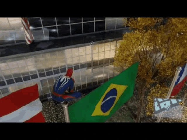 Spider Br Flag Br Meme