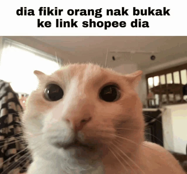 Dia Kira Meme