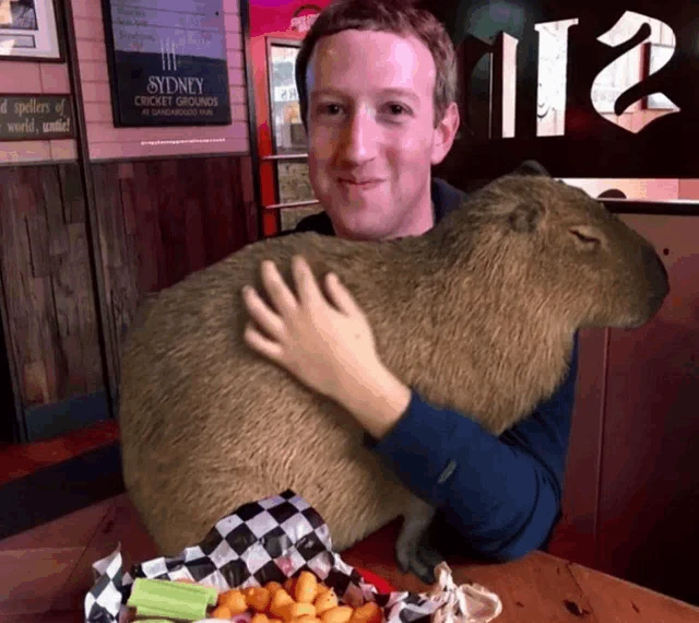 Mark Zuckerberg Meme