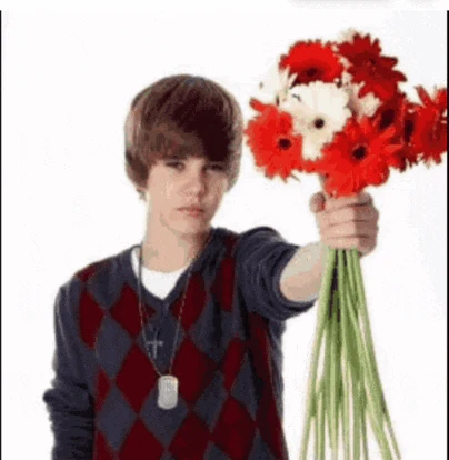 Justin Bieber Meme