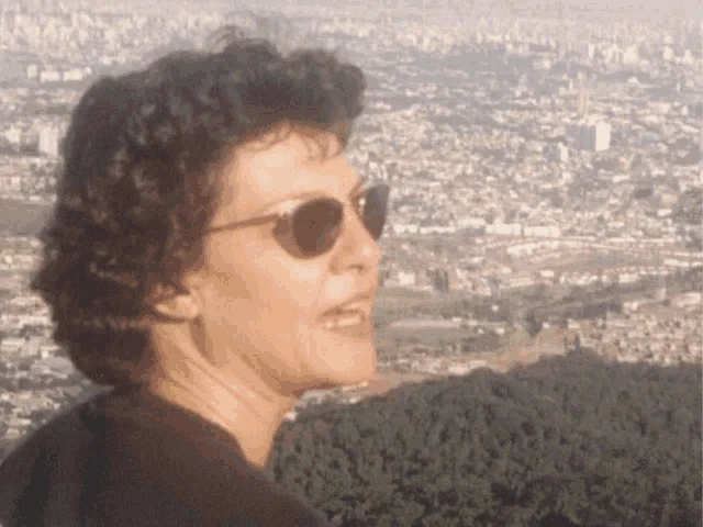 Pico Do Jaraguásão Paulo Capital Meme