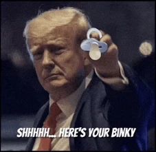 Trump 2024 Meme