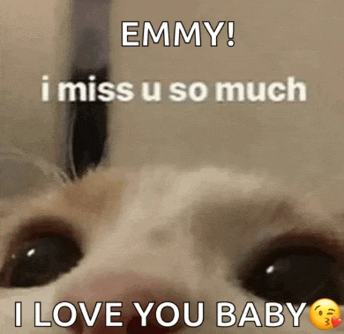 Cute Cat Meme