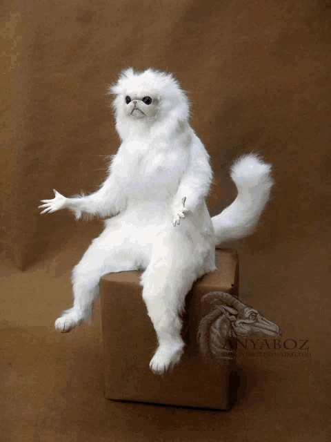 Memes Funny Cat Meme Meme