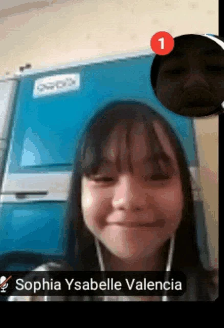 Sophia Meme