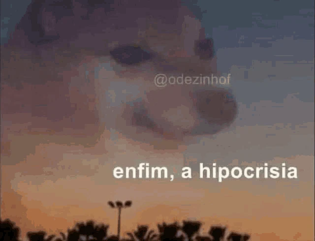 Enfim A Hipocrisia Hipocrita Meme