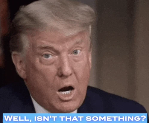 Trump Donald Trump Meme