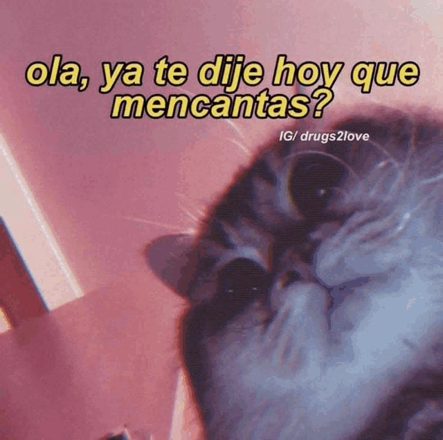 Mi Tesoro Meme