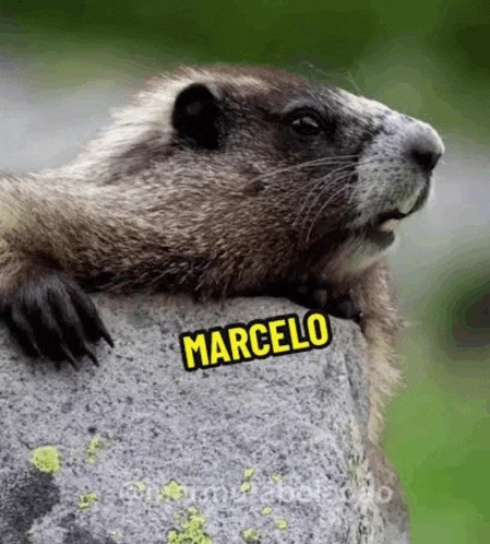Marcelo Marcesec Meme