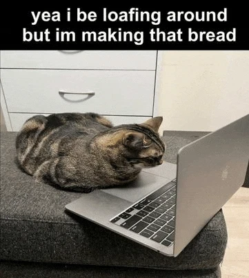 D Meme