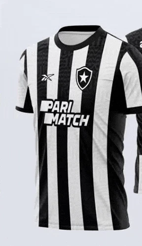 Botafogo Meme