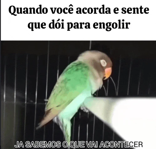 Dor Pra Engolir Meme