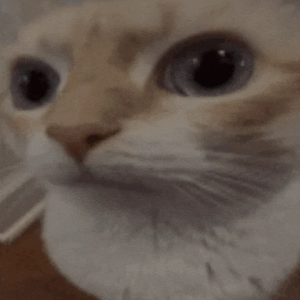 O-o Meme