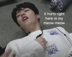 Stray Kids Meme