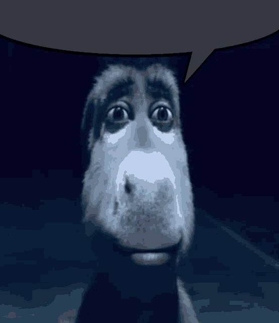 Burro Globo Texto123456789 Meme