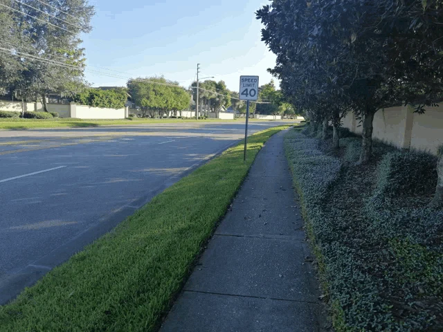 Orlando Mg Meme