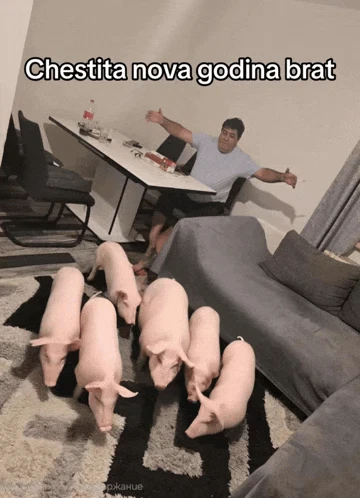 Nova Godina Cng Meme