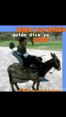 Quien Quiere Un Avenon Meme