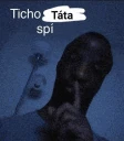 Sleep Tata Meme