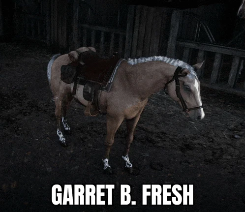 Garret Meme