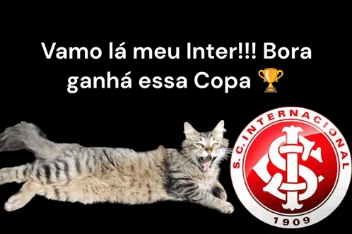 Gato Inter Meme
