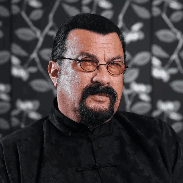Steven Seagal Meme
