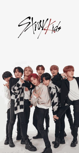 Stray Kids Meme