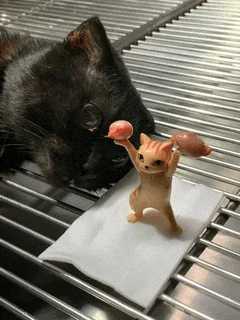 Cats Dark Humor Meme