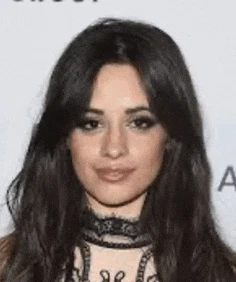 Camila Cabello Meme