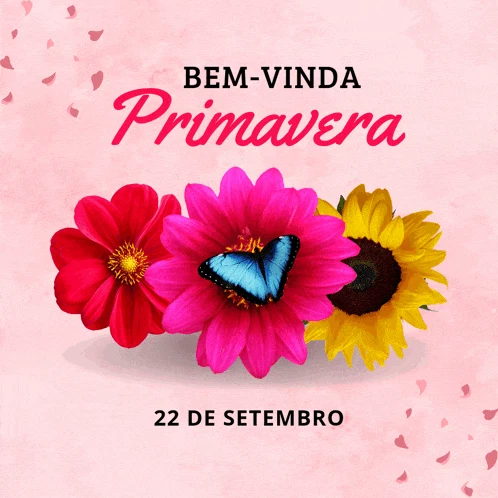 Primavera Meme