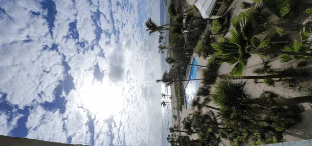 Miami Morning Miami Beach Meme